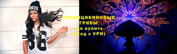 кокс Арсеньев