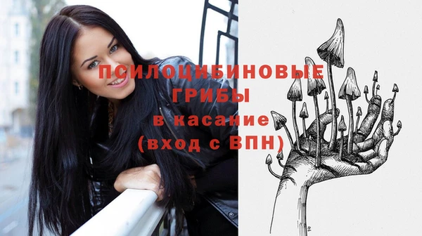 кокс Арсеньев