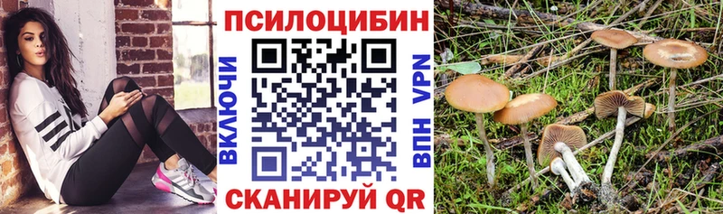 как найти закладки  Суворов  Галлюциногенные грибы Psilocybine cubensis 